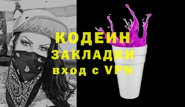 индика Костерёво