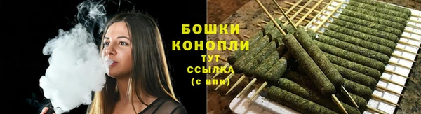 индика Костерёво