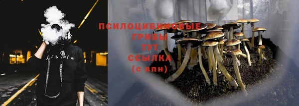 индика Костерёво