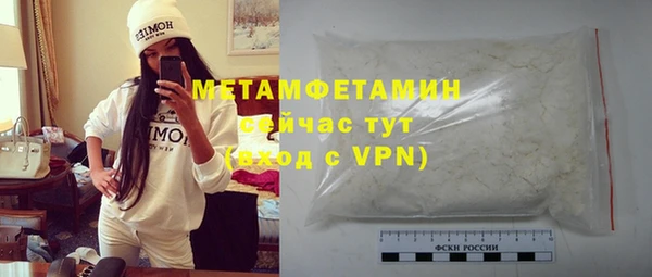 индика Костерёво