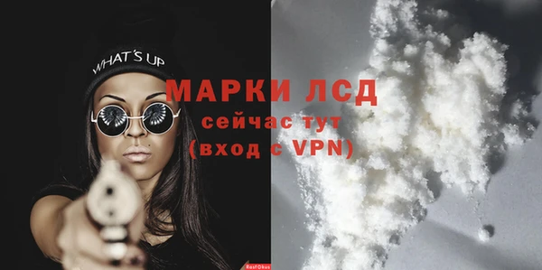 индика Костерёво