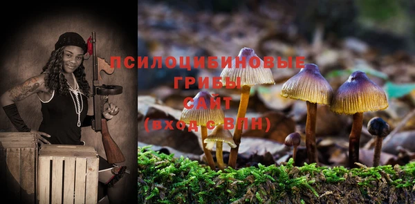 spice Корсаков
