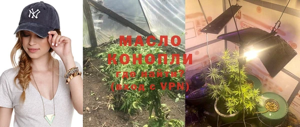 индика Костерёво
