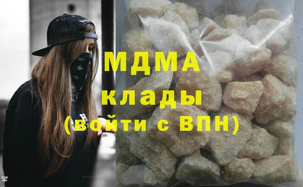 индика Костерёво