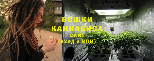 стаф Коряжма