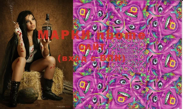 стаф Коряжма