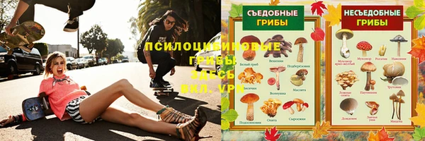 стаф Коряжма