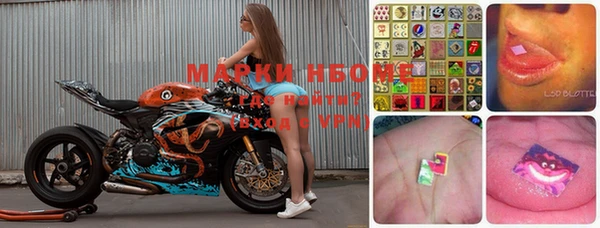 стаф Коряжма
