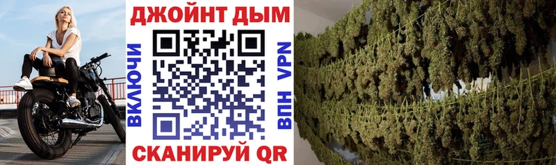 Бошки Шишки марихуана  Рудня 